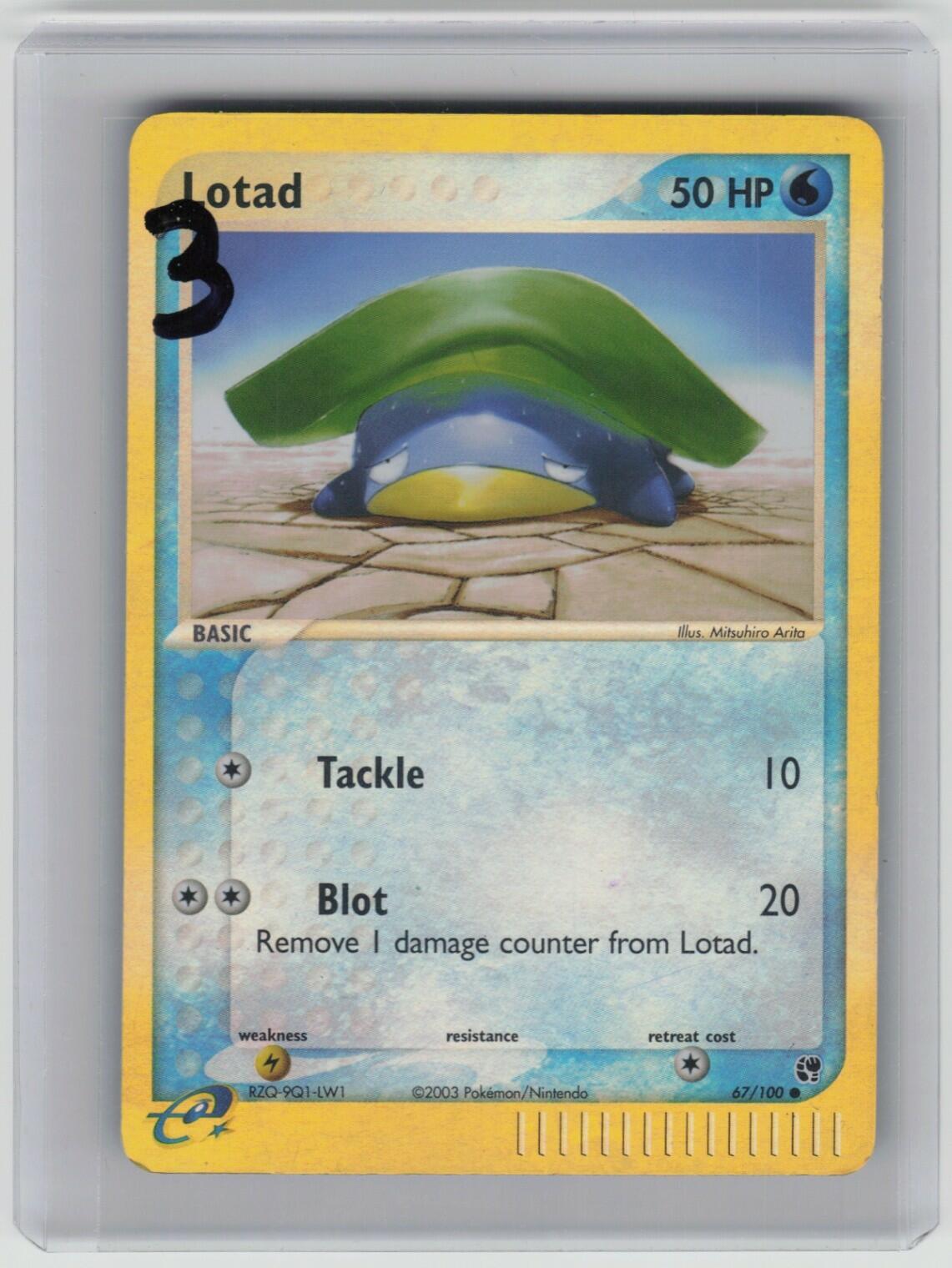 Lotad - Common Sandstorm 67/100 LP