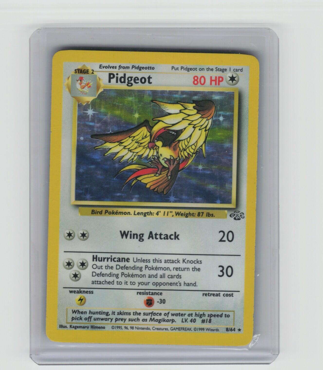 Pidgeot (8) Holo Rare Jungle 08/64 LP