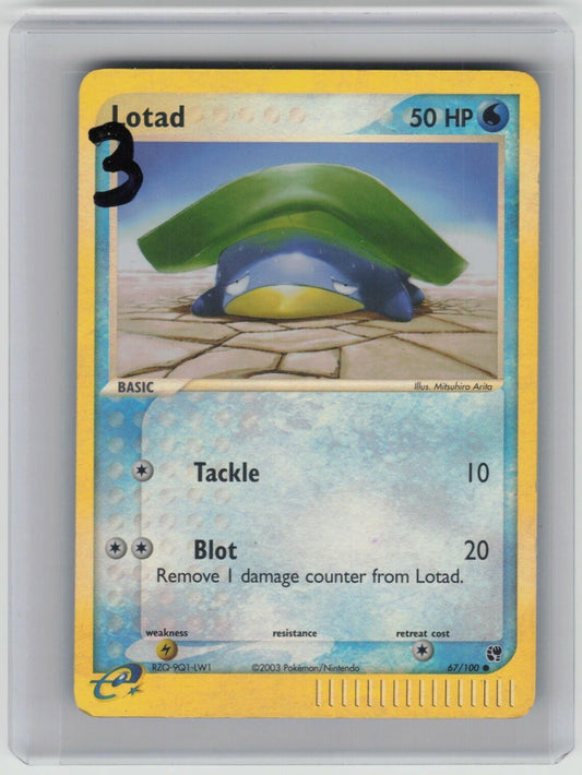 Lotad - Common Sandstorm 67/100 LP